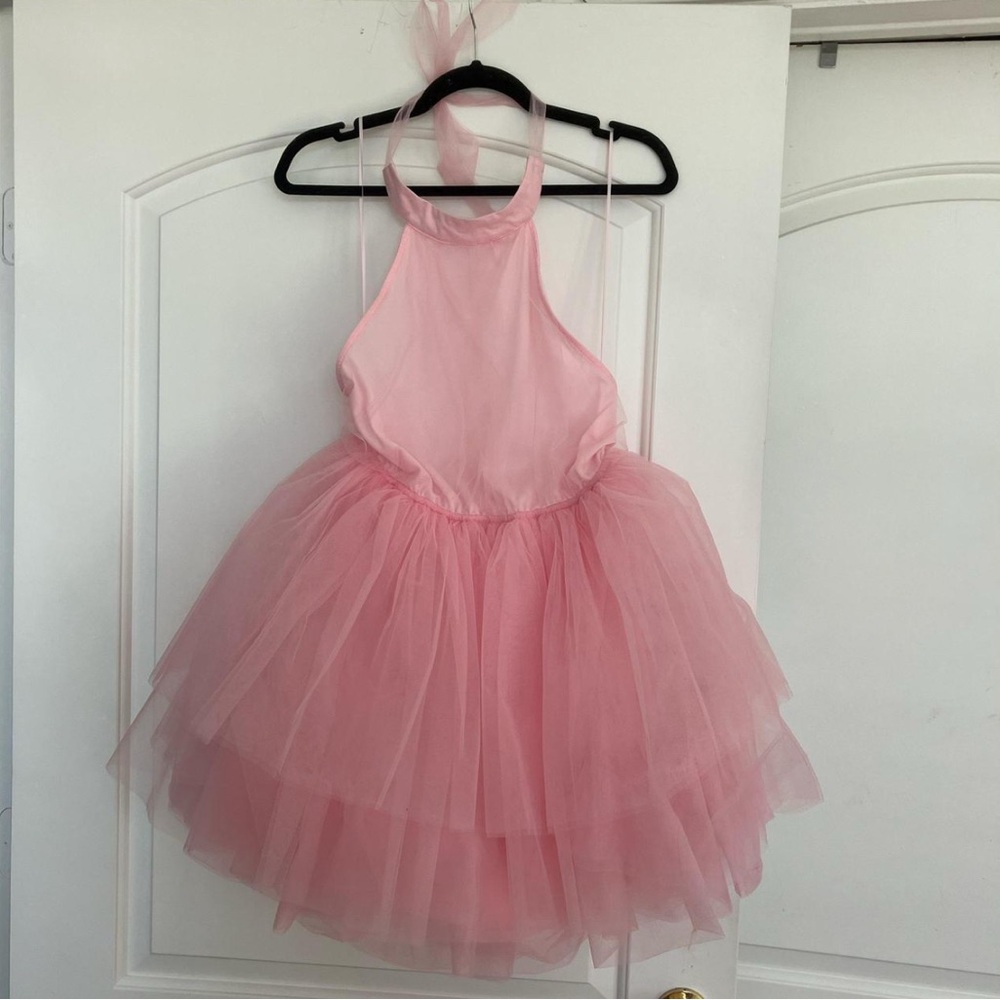Allison + Kelly Pink Tulle Ballet Dress